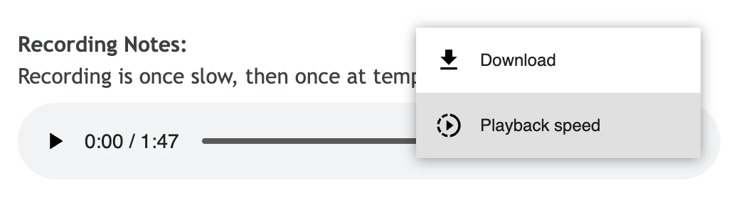 Screenshot of the playback controls with the 3-dot menu open.